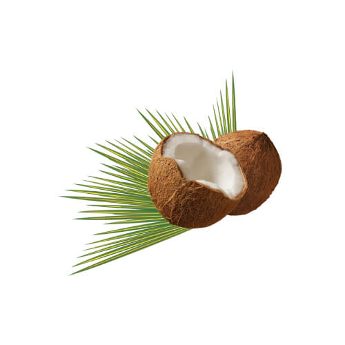 Coconut