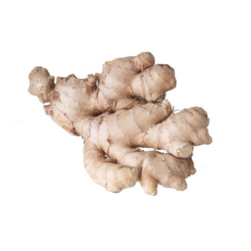 ginger Ginger