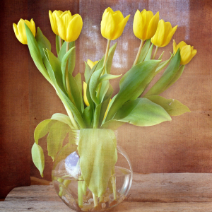 Pastel Bouquet Flower