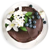 ALT text for your image.